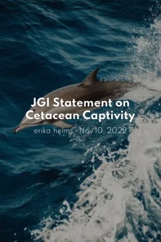 JGI Statement on Cetacean Captivity